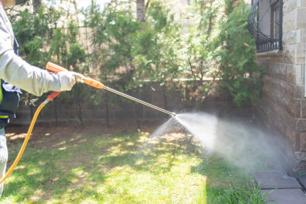 Best Pest Exclusion Services  in Desoto, TX